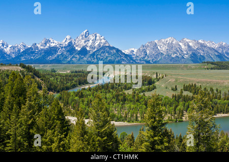 Snake River si affacciano su Grand Teton National Park Wyoming usa Foto Stock
