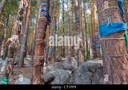 Il boschetto sacro, Arshan, Tunkinsky distretto, Repubblica di Buryatia, Siberia, Federazione russa Foto Stock