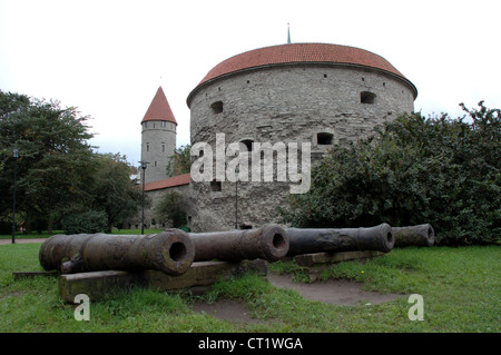 I cannoni al di fuori il grasso Margaret tower, Tallinn, Estonia Foto Stock