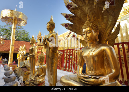 Golden Statue di Buddha nel tempio Doi Suthep, Chiang Mai, Thailandia Foto Stock