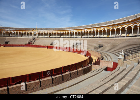 La corrida arena (Plaza de Toros) a Siviglia Andalusia Spagna Foto Stock