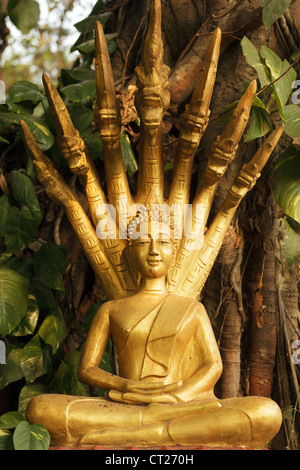 Sabato golden statua del Buddha con sette teste naga snake, Laos Foto Stock