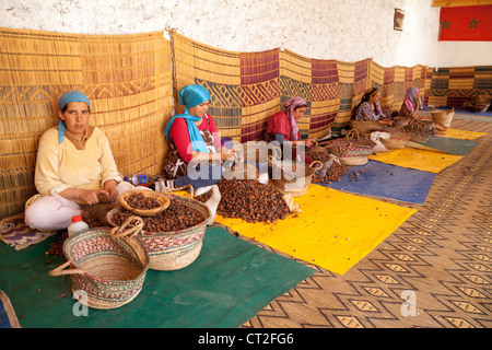 Arab donne berbere lavorando al Womens olio di Argan co-operativa, Essaouira, Marocco Foto Stock