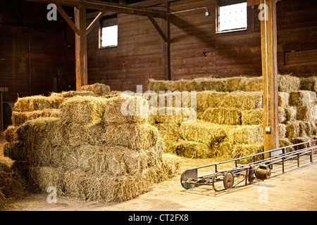 Interno di un fienile con balle di fieno di pile e nastro trasportatore Foto Stock