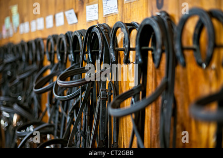 In pelle di briglie di cavalli e i bit appeso alla parete della stabile Foto Stock