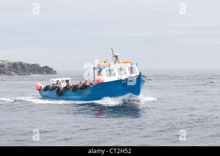 Un viaggio all'interno farne su una barca Foto Stock