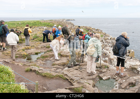 Gli amanti del birdwatching di scattare una foto su un viaggio a farne interna Foto Stock