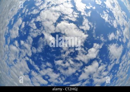 Angolo di larghe vedute del paesaggio della Florida e del cielo al Pelican Island National Wildlife Refuge. Foto Stock