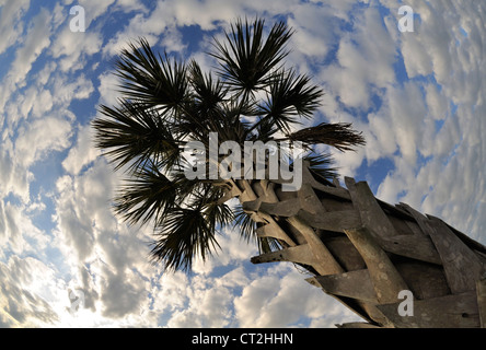 Angolo di larghe vedute del paesaggio della Florida e del cielo al Pelican Island National Wildlife Refuge. Foto Stock