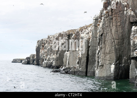 Un viaggio all'interno e farne la scogliera Foto Stock