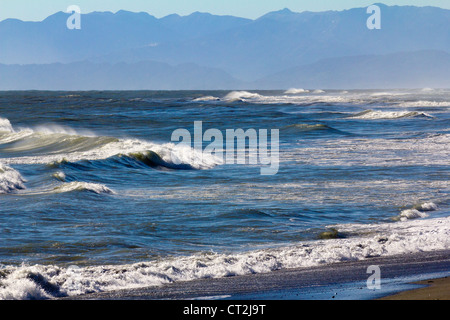 Gli interruttori del Pacifico ha colpito la spiaggia vicino a Oamaru, Nuova Zelanda 8 Foto Stock