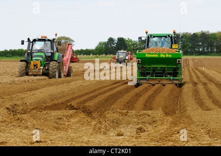 Regno Unito, allevamento commerciale di coltivazione di patate, trattore con piantatrice di patate, trattore con pietra macchina di prelievo sulla sinistra, Norfolk, Regno Unito, maggio Foto Stock