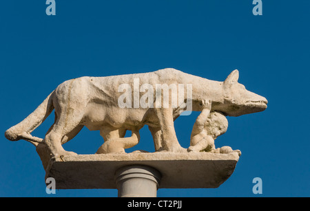 Close-up della colonna con la statua di Contrade Lupa Lupa, Cattedrale di Siena (Duomo di Siena), Toscana, Italia Foto Stock