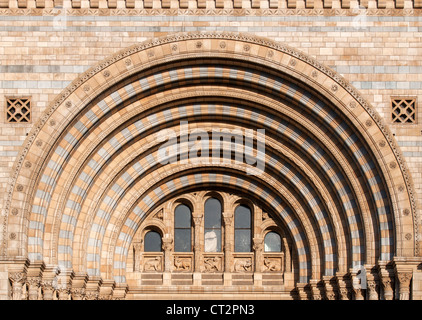 Close-up di archi, facciata del Museo di Storia Naturale Edificio, South Kensington, Londra, Inghilterra Foto Stock