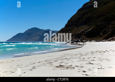 La gente camminare sulla spiaggia Noordhoek, Sud Africa Foto Stock