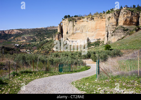 Strada asfaltata attraverso la campagna Andalusia e rock di Ronda nella Spagna meridionale, provincia di Malaga. Foto Stock