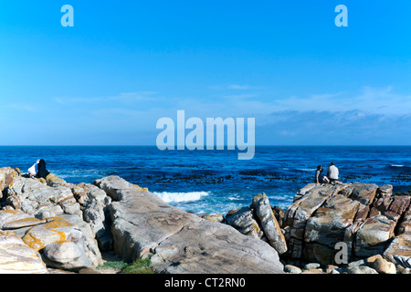 Medio Orientale giovane in abito tradizionale e giovane coppia occidentale in abbigliamento casual presso il Capo di Buona Speranza, Sud Africa Foto Stock