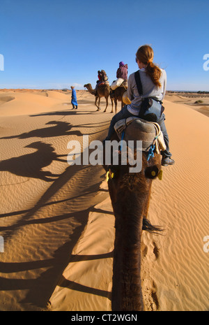 Passeggiate a dorso di cammello nel deserto del Sahara presso Erg Chebbi, Marocco Foto Stock