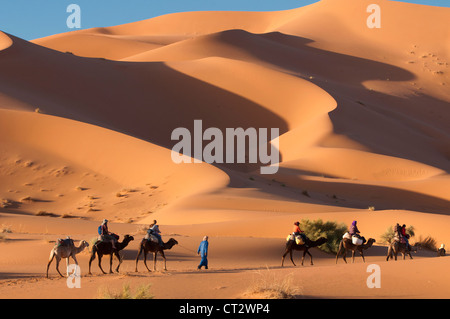 Passeggiate a dorso di cammello nel deserto del Sahara presso Erg Chebbi, Marocco Foto Stock