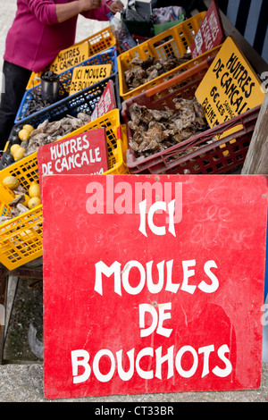 Ostriche - Moules De Bouchots in vendita presso un mercato di stalla di Cancale Oyster fattoria, Cancale, Bretagna, Francia Foto Stock