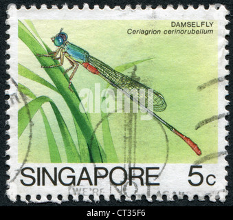 SINGAPORE - circa 1985: francobolli stampati in Singapore, mostra una libellula Ceriagrion cerinorubellum, circa 1985 Foto Stock