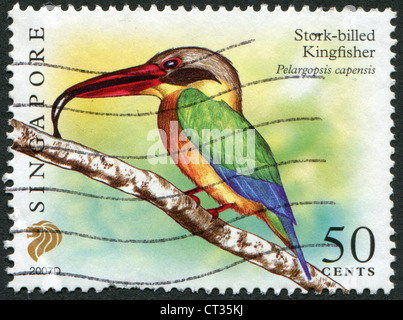 I francobolli stampati in Singapore, l'uccello raffigurato la cicogna-fatturati Kingfisher (Pelargopsis capensis), circa 2007 Foto Stock