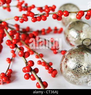 Ilex, agrifoglio Foto Stock