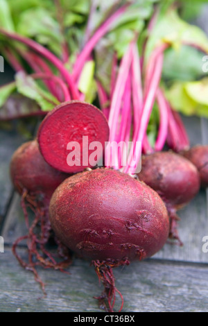 Beta vulgaris, barbabietole, raccolte in rosso le verdure su una tavola di legno con un taglio a metà rivolta in avanti. Foto Stock