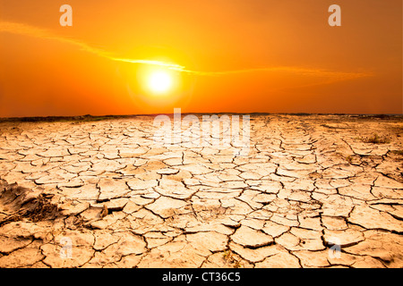 Siccità terreni e clima caldo Foto Stock