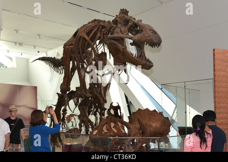Questa è un immagine della Royal Ontario Museum Foto Stock