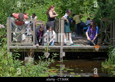 Esplorare il mondo naturale. Sotto la supervisione di immersione di stagno per giovani studenti. Nel giardino selvaggio, Museo di Storia Naturale di Londra. Foto Stock