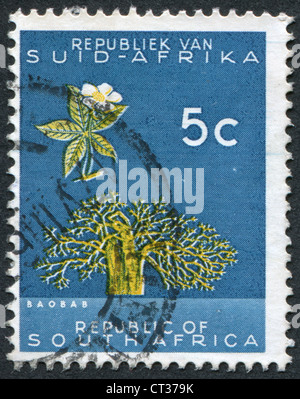 Sud Africa-CIRCA 1961: un timbro stampato in Sud Africa, raffigura (Baobab Adansonia digitata), circa 1961 Foto Stock