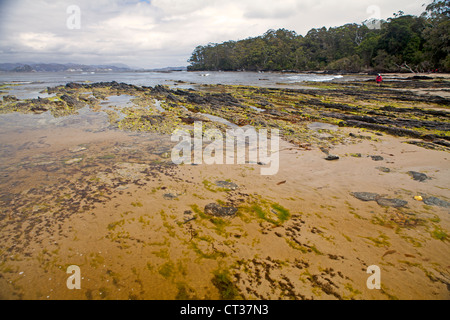 Vista sul Porto di Davey dal punto Earles in Tasmania a sud-ovest del Parco Nazionale Foto Stock