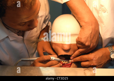 Un dentista di studenti che lavorano su un tavolo modello top della testa e della bocca. Foto Stock