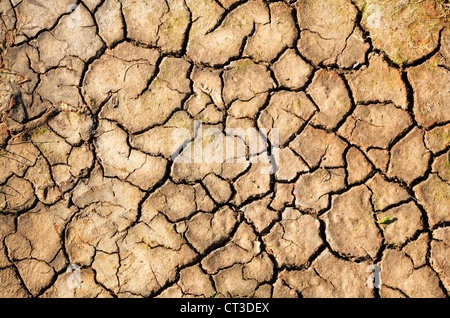 Una vista di una patch di incrinate e fango essiccato a Blakeney, Norfolk, Inghilterra, Regno Unito. Foto Stock