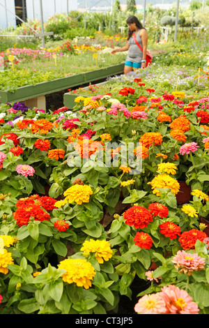 Centro giardino in Banyoles, Girona, Catalogna, Spagna. Foto Stock