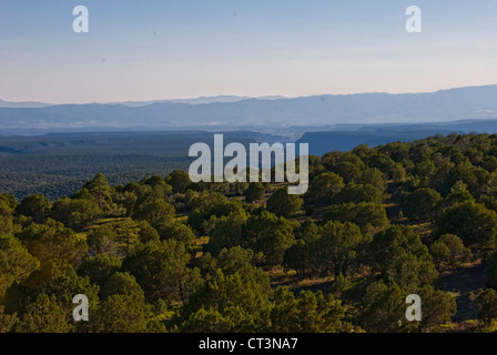 Vista del paesaggio vicino a Flagstaff, AZ Foto Stock