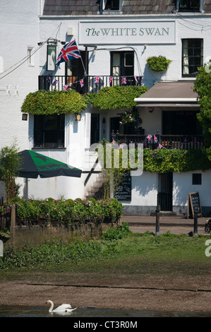 Il White Swan pub sulle rive del fiume Tamigi a Twickenham con il passaggio di un cigno Foto Stock