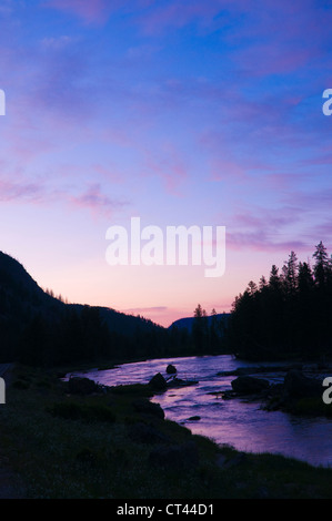 Alba sul fiume Yellowstone in estate Foto Stock