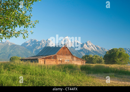 Scena iconica del vecchio fienile mormone (circa 1880) sulla riga mormone nel Teton National Park Foto Stock