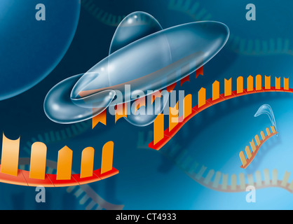 L'interferenza del RNA Foto Stock