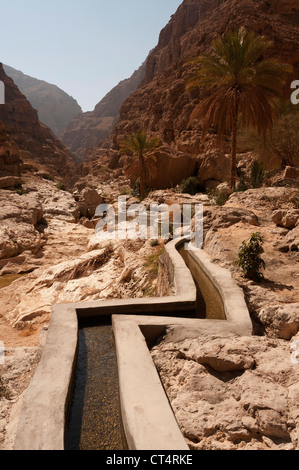 Elk207-2022v Oman, East coast, Wadi fusc, canyon paesaggio, canale di irrigazione Foto Stock