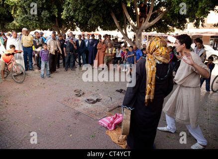 Incantatori di serpenti eseguendo nella piazza centrale, taroudant Marocco, Africa Foto Stock