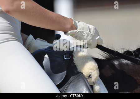 Pilota femmina con i guanti bianchi a tenere le redini su un cavallo marrone Foto Stock