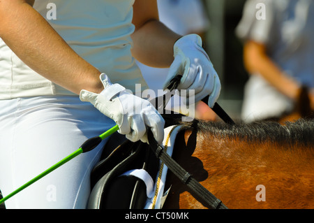 Pilota femmina con i guanti bianchi a tenere le redini di un cavallo marrone Foto Stock