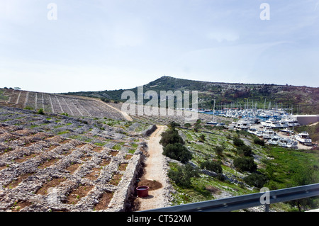 Pietraie terrazzato olivicoltura. Il croato mediterraneo. Bacino di carenaggio per le imbarcazioni da diporto. Foto Stock