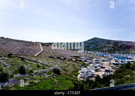 Pietraie terrazzato olivicoltura. Il croato mediterraneo. Bacino di carenaggio per le imbarcazioni da diporto. Foto Stock