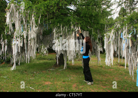 Donna rituale di legatura il nastro per albero sacro, Ulagansky pass, Altai, Siberia, Russia Foto Stock