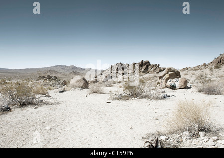 Coperto di graffiti rocce nel deserto di Mojave, California, Stati Uniti d'America. Foto Stock