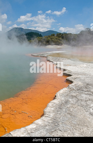 Champagne Piscina al Wai-O-Tapu Thermal Wonderland vicino a Rotorua, Nuova Zelanda Foto Stock